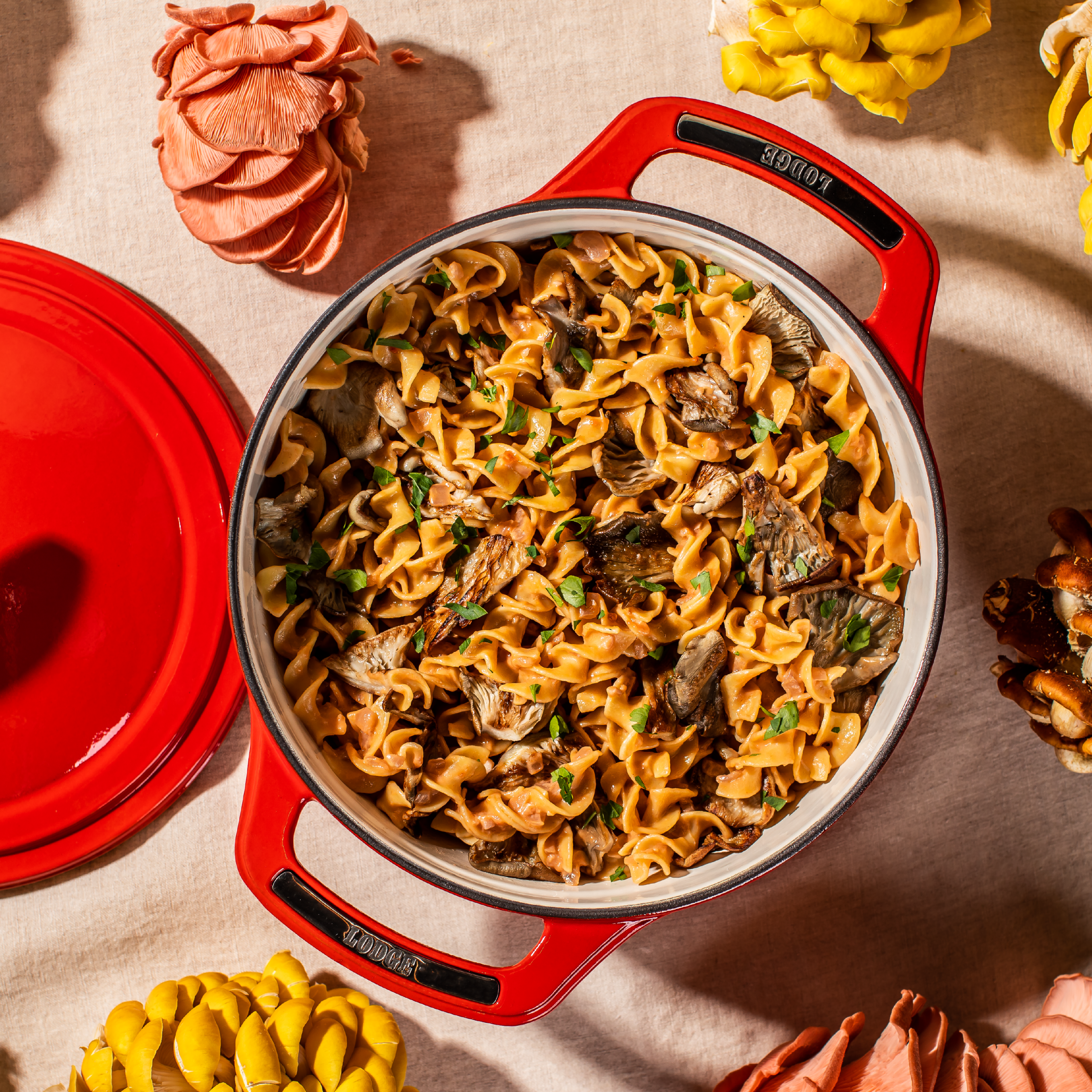 USA Enamel? Cast Iron Dutch Oven - Image 14